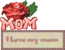I love my mum