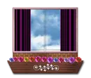 window box