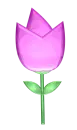 flower pink