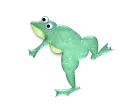 frog