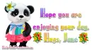 Cute Panda - Jane