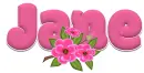Pink Flowers - Jane