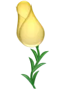 yellow flower