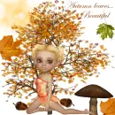 Autumn Leaves