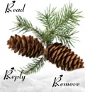 Read Reply Remove