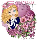 Dream . . .
