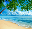 BEACH BACKGROUND