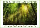 GOOD MORNING