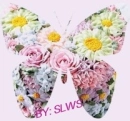 Flower Butterfly