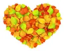 Autumn Heart