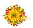 Autumn Flowers