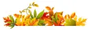Autumn Leaves