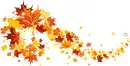 Autumn Leaves