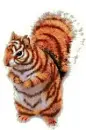 Tiger Squirrel