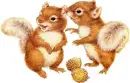 Squirrels