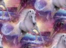 white horse