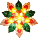 Colorful  Star