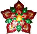 Colorful Star