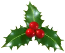Holly Berry
