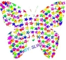 Rainbow Butterfly