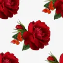 Roses Seamless Background