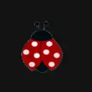 Ladybug Background
