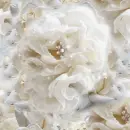 White Roses Seamless Background
