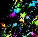 Neon Paint Splitting