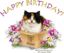 Happy Birthday!