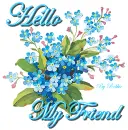 Hello My Friend