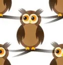 owl