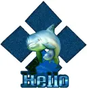 Hello (Dolphins)