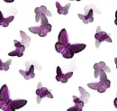 purple butterflies