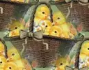 Easter