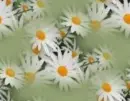 white flowers