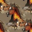 horse