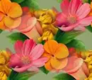 multicolor flower