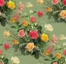 rosa bouquet