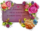 Friendship