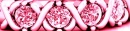 XOXOPink