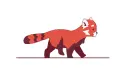 red panda