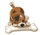 dog