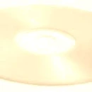 DiscofOpal