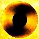 VinylofGoldenBrown