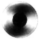 VinylofWhiteGold