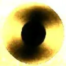 VinylChampagneGold