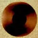 VinylofBronze
