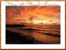HAVE A BLESSED MORNING