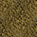 hairy background