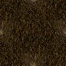 hairy background